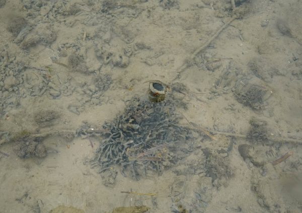 Iron bars are more expensive but usually last much longer than other anchors (approximately 5 years).