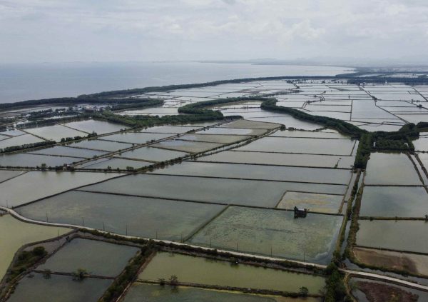 Culture ponds in Maros, South Sulawesi, Indonesia