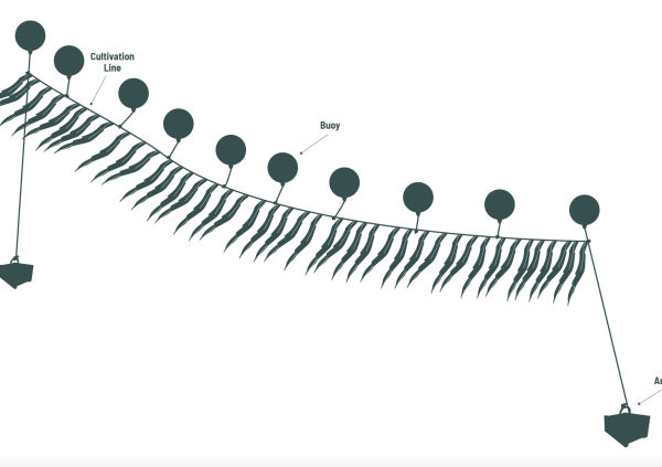 Horizontal line method