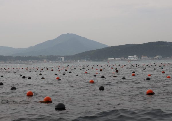 Seaweed farm site in Gijang, South Korea
