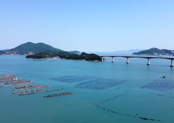 Farm sites of Saccharina in co-location with Abalone farms, Wando, South Korea