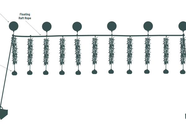 Método de línea larga vertical