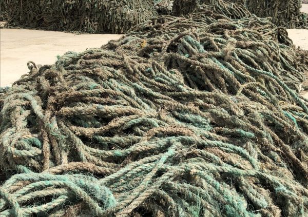 Ropes for raft method in Northern China (Photo courtesy of Innovation Norway)