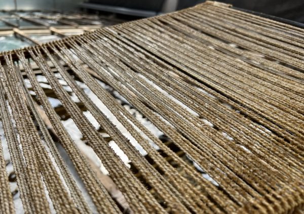 Preparing seed frames at a small hatchery in South Korea.