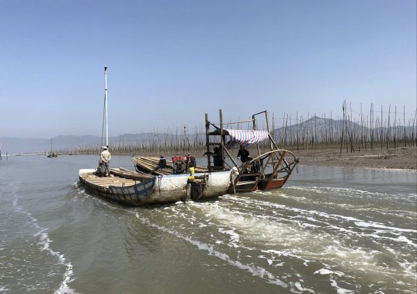 Harvest and transportation boats in Fujian province, China. (Photo courtesy of Innovation Norway China)