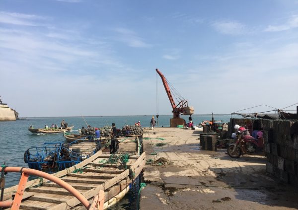 Wooden harvest boat and port side crane to land the harvested biomass. (Picture courtesy of Innovation Norway China)