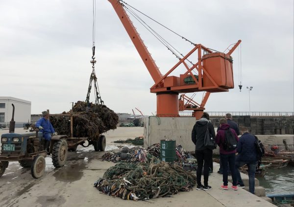 Transport from pier to pre-treatment plants by small plain tractor, Shandong, China. (Picture courtesy of Innovation Norway China)