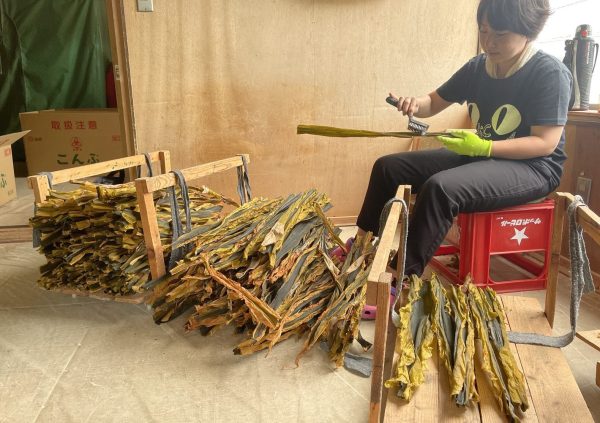 Dried blades are brushed one by one to ensure highest quality in Japan.