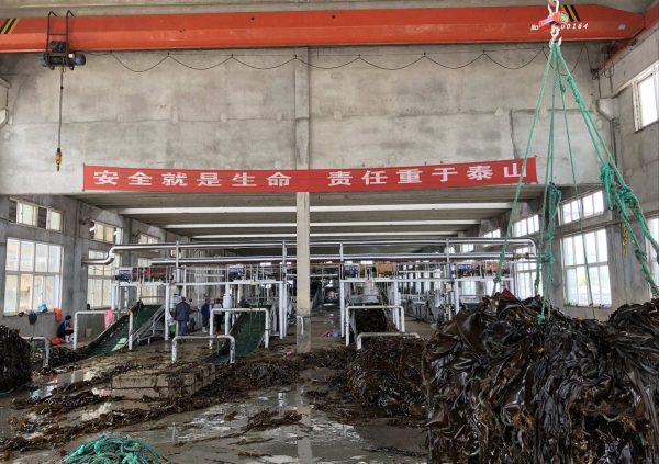 Pre-treatment processing lines in Shandong, China. (Photo courtesy of Innovation Norway China)