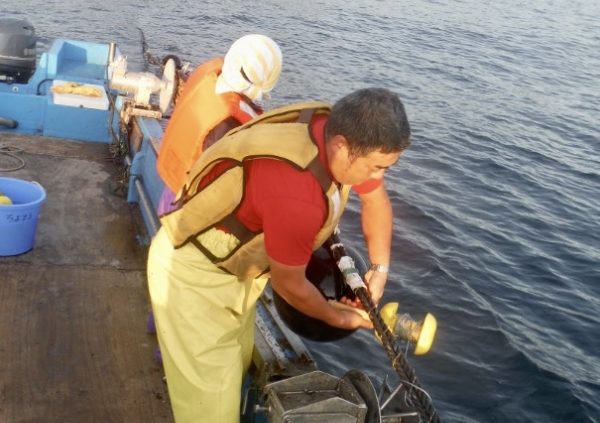 Method 1: Twine seeding by winding the seedling thread (palm string with juvenile sporophytes) aroundthe main rope in Sanriku, Japan. (Photo courtesy of Riken Food)