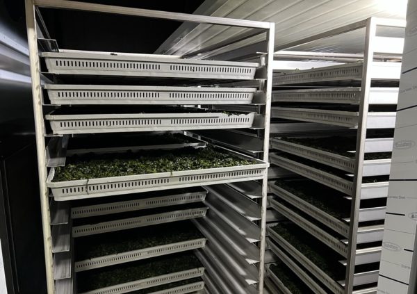 A dedicated drying facility / machine could easily cost 70.000 USD.