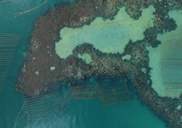 Farm location in the only suitable area between very shallow water and the reef. Taytay Bay, Palawan, the Philippines.