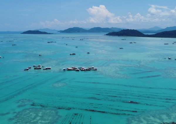 Seaweed farms in Malaysia located in the immediate surroundings of the farmers houses at sea. Semporna, Sabah, Malaysia