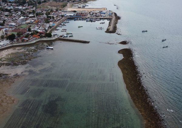 Seaweed farms in close proximity to cities. They are part of the coastal landscape in Asia. Kupang, NTT, Indonesia