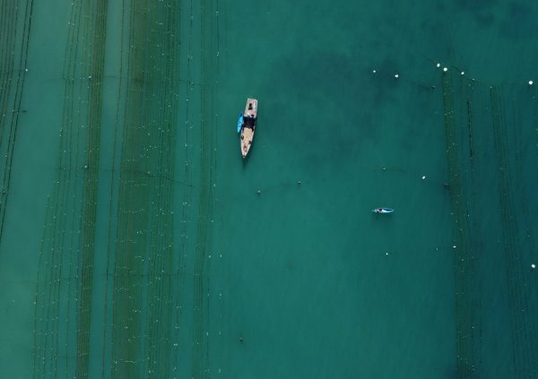 60 meter long floating long lines in 8-10m deep water in South Sulawesi, Indonesia.