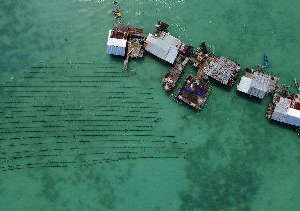 The different farming methods of eucheumatoids have different material requirements or needs for equipment.