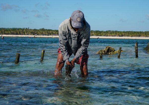 It takes a lot of strength to hammer the anchor stakes into the sea ground. Once well placed they would last up to two years under normal conditions.