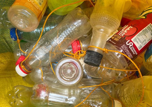 Because almost all PET bottles can be used for seaweed farming, they will be collected from the general trash and traded at a fairly high price in seaweed farming regions.