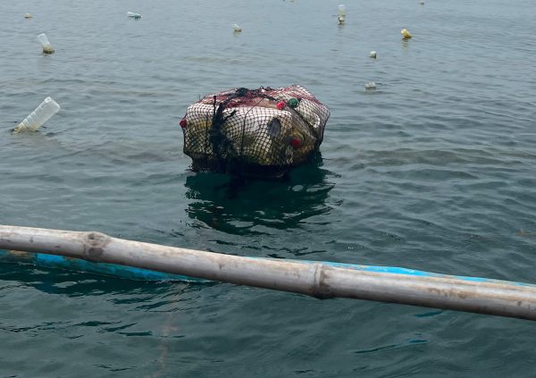 Styro Foam floaters are probably the worst option for the environment as they slowly disintegrate into small pieces that never completely decompose.