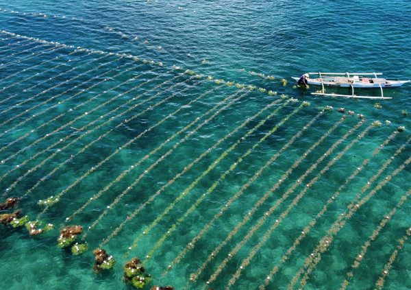 Farmer checking his farm site in Handumon, the Philippines.