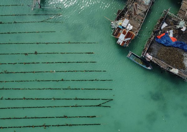 Close to Semporna, in Malaysia, the drying platforms are usually an extension of the houses on stilts.