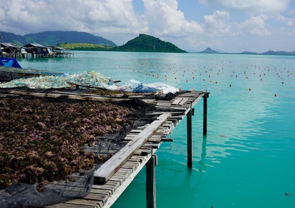 The farm site is sometimes only a few meters away from the drying platforms.