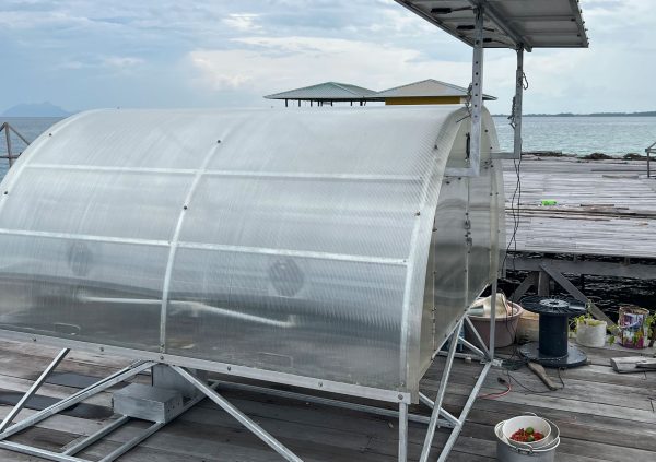 In Sabah, the Malaysian government trialed solar-powered sun drying ‘ovens’. However, the farmers prefer the coventional sun-drying method.