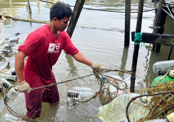 On Nunukan Island, in Indonesia, it is common practice to rub the lines to get rid of any unwanted residues. Farmers struggle in particular with small oyster spat in certain seasons.