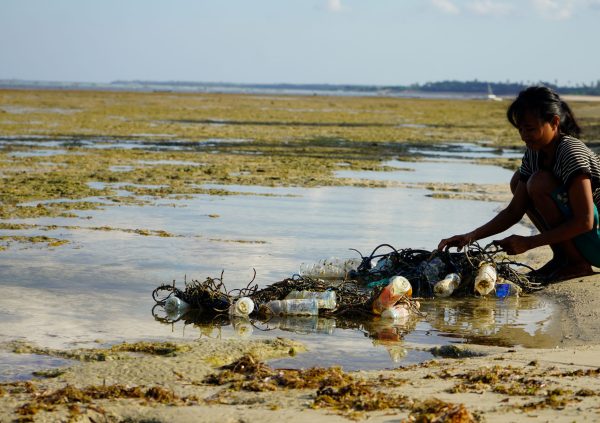 On Rote Island, in East Indonesia, the cleaning is done by simply rubbing parts of the rope on to each other. A fairly time intensive task.