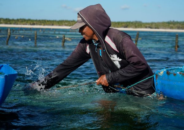 Cleaning the ropes can also be done in between cycles at sea.