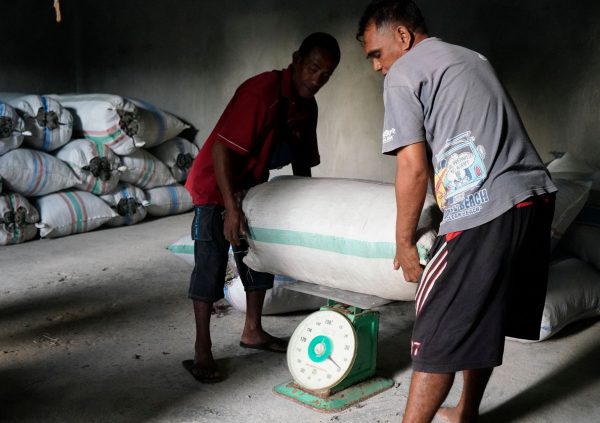 At the local collector’s warehouse, bags of seaweed are weighed and if no extra drying has to be done they are aggregated for a bigger truckload.
