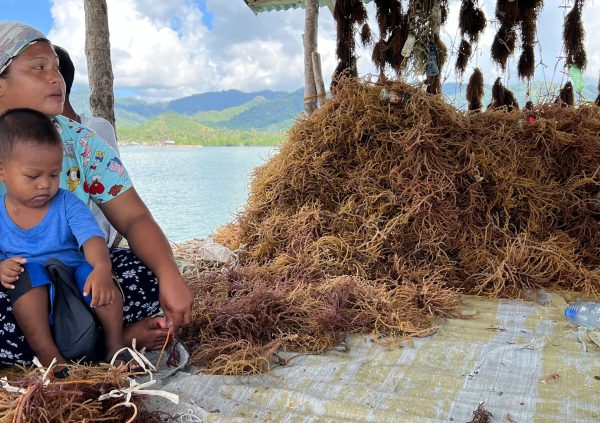 The work on shore is relatively easy and flexible, it allows young mothers to earn money.