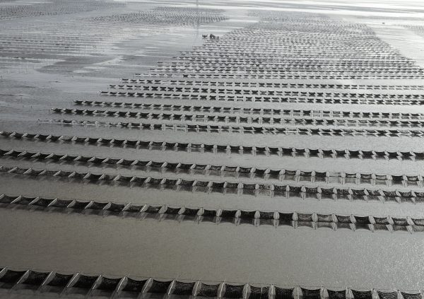 Semi-floating net method in Jiangsu, China. (Photo courtesy of Li-En Yang)