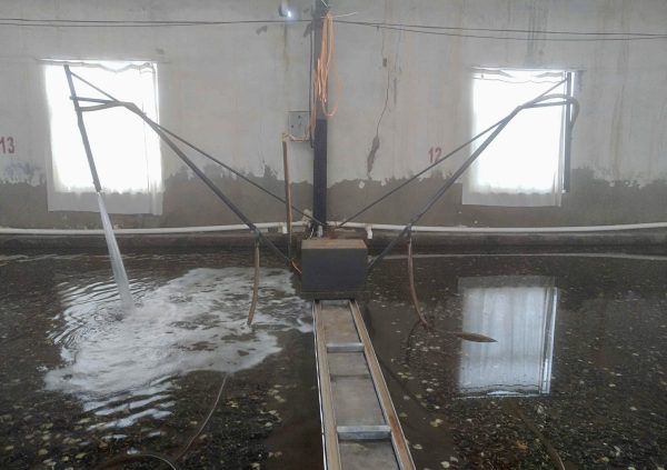 Seed collector in Jiantsu, China. (Photo courtesy of Li-En Yang)