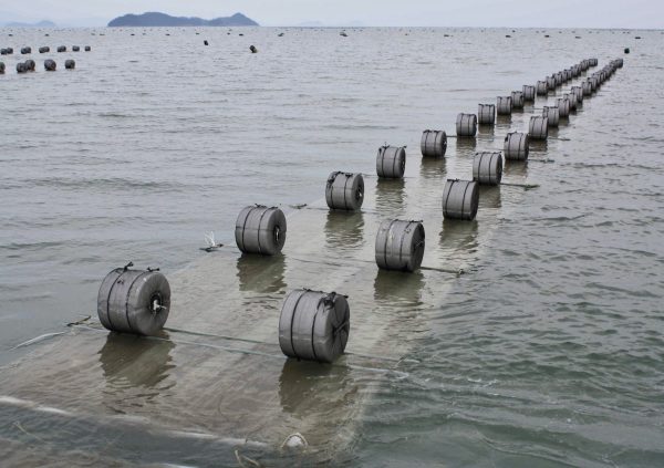 Outdoor seeding in South Jeolla Province, South Korea. (Photo courtesy of Dr Hwang EK)