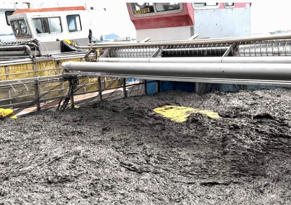 Automatic cutter on harvesting boat in South Korea.