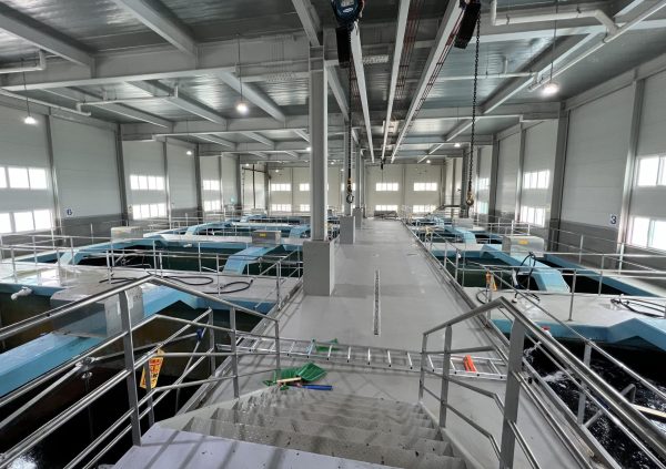 Mid-sized processing plant in Jindo, South Korea.