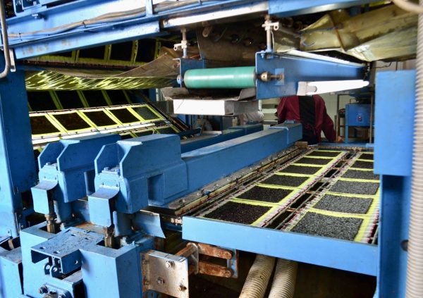 Machine drying of Pyropia into standard sheets in South Korea.