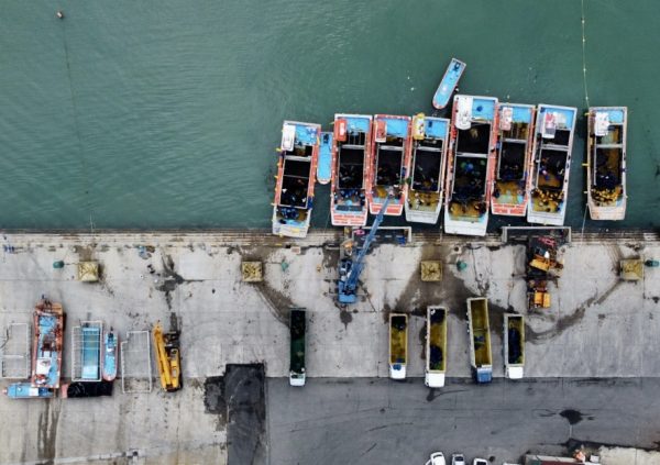 Harvesting boats line up at 11 am sharp every day in Jindo, South Korea.