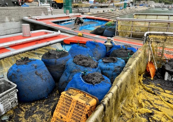 The unit of sales in South Korea are 120kg bags.