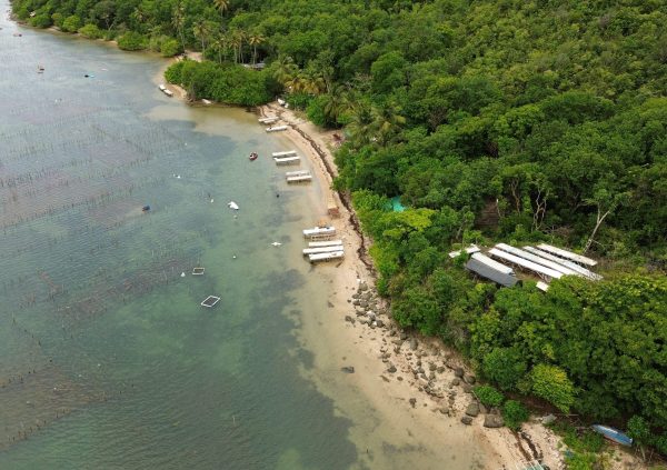 St Lucia: Farms are often established near accessible beaches, where boats and drying racks are kept close together.