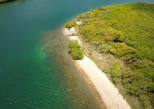 Grenada /Fort Jeudy Point: Farms located beside mangrove-fringed beaches benefit from calm, shallow waters that reduce wave exposure and allow easy daily access.