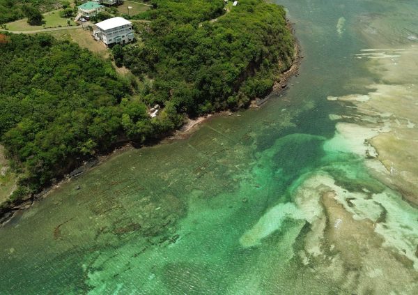 Grenada /Becke Moui: Farm plots located in clear, well-flushed water support good growth and stable salinity.