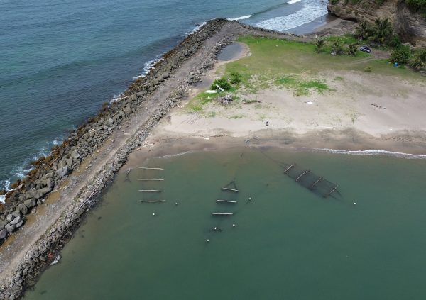 Grenada/Leaders hill: Seaweed farm located in a small protected bay behind a rocky breakwater.