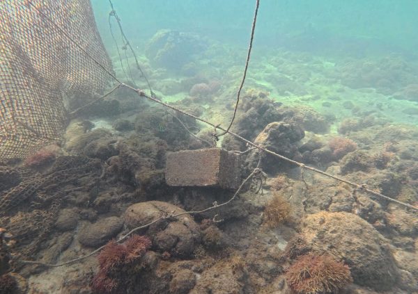 St Vincente: Anchor system secured on rocky substrate, ensuring stability of the cultivation lines in areas exposed to current.