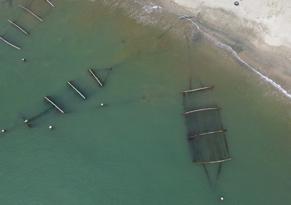 Grenada: Short wooden-frame units positioned close to shore, designed for quick installation and easy tension adjustment.