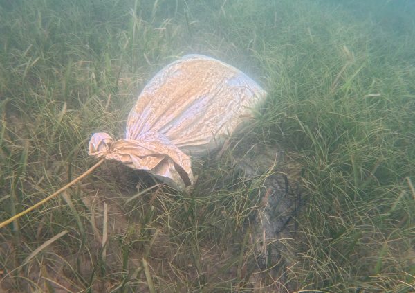 St Vincent: Sandbags used as anchors provide stable support on soft substrates and are easy to install with minimal equipment.