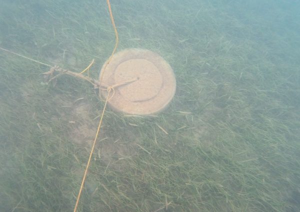 St Vincent: Circular concrete bases cast with embedded loops ensure strong attachment and even line tension.