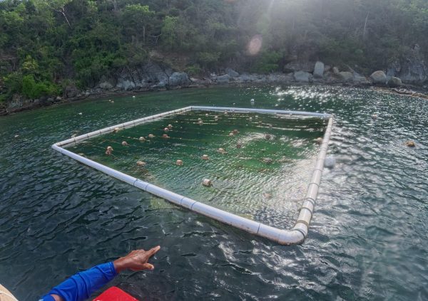 St Vincent: PVC pipe frames serve as rigid floating structures.