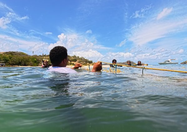 St Vincente: Farmers inspect seaweed lines in shallow water, adjusting floats and removing debris to maintain uniform spacing.
